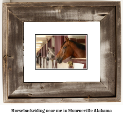 horseback riding near me in Monroeville, Alabama